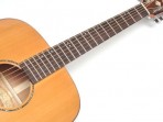 Washburn Folk. WD - 160 SW  Guitarra Cuerdas Metalicas, Tapa Cedro Macizo, Aros y Fondo de Caoba Macizo, Mastil de de Caoba, Diapasón y puente de Palisandro ( PRODUCTO AGOTADO )