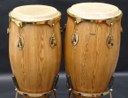 Conga 12