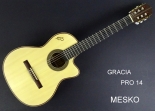 Gracia PRO 14 Guitarra Cuerdas Nylon Electroacústica con Equalizador Fishman 