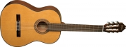 Washburn C - 40, Guitarra Clasica Cuerdas Nylon 19 Trastes