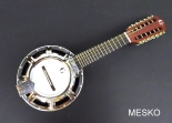 Banjo 12 Cuerdas G C R  Electroacústico Instrumento de Alta Calidad Incluye Funda