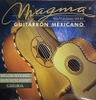 Juego Cuerdas para Guitarron Mexicano Magma GA 100A  Entorchado Metal